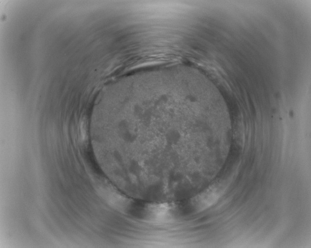 X0000066530131200603241411