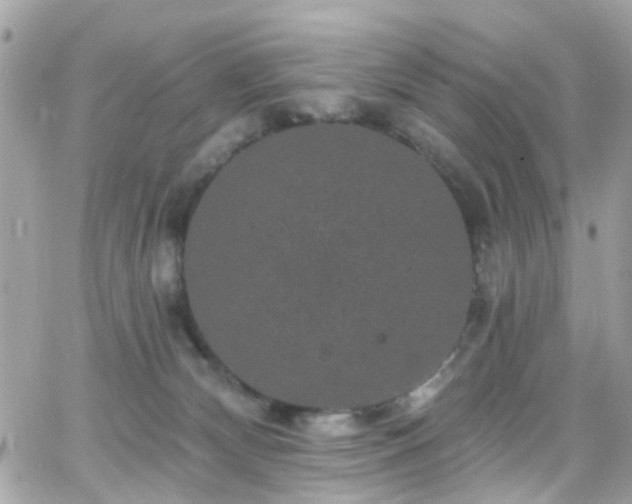 X0000066530132200603241411