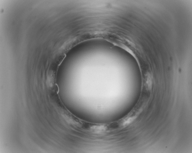 X0000066530133200603241411