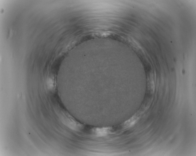 X0000066530134200603241411