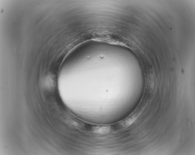 X0000066530135200603241411