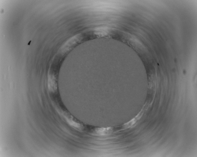 X0000066530136200603241411