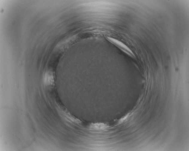 X0000066530137200603241411