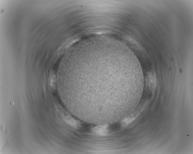 X0000066530138200603241411