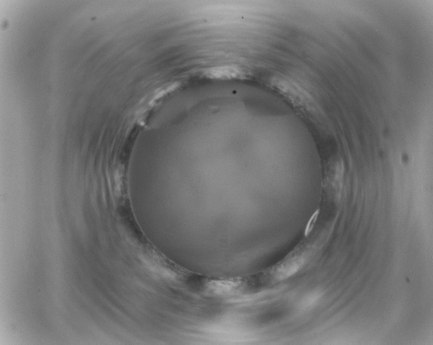 X0000066530139200603241411