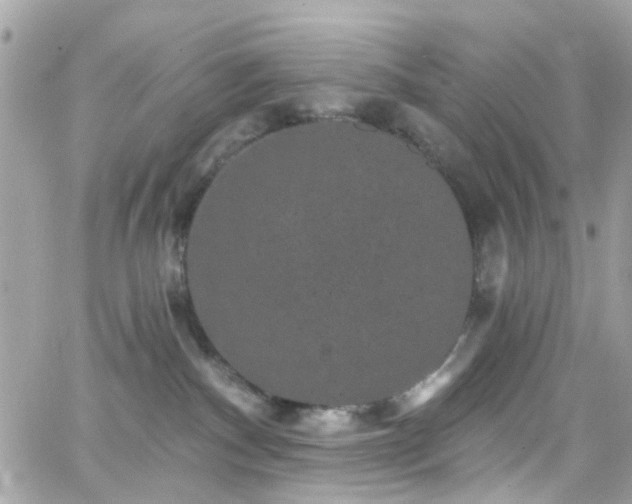 X0000066530140200603241411