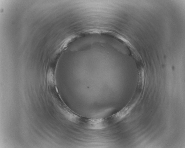 X0000066530143200603241411