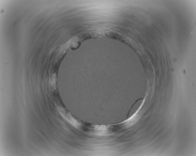 X0000066530144200603241411