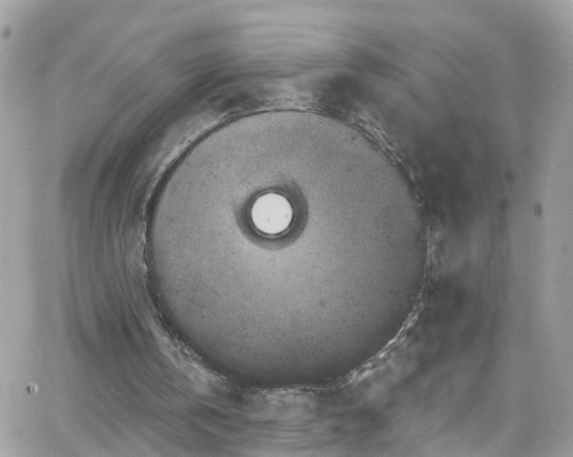 X0000066530146200603241410