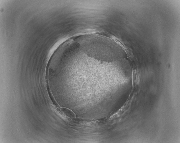 X0000066530147200603241410