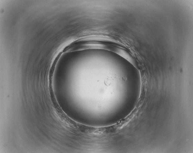 X0000066530148200603241410