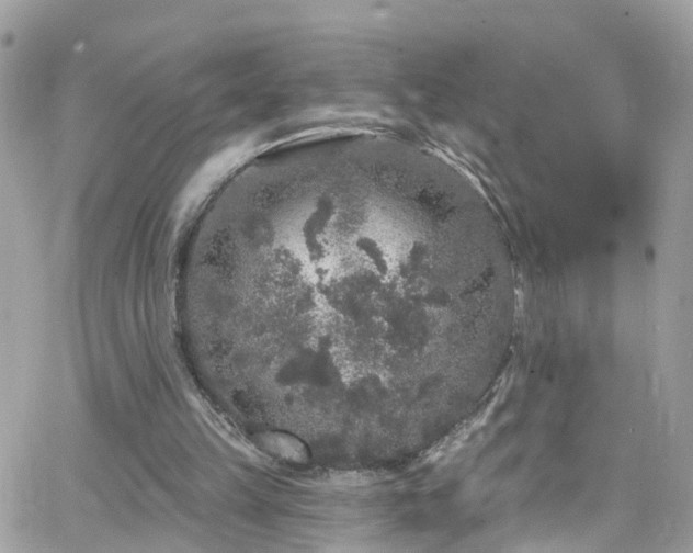 X0000066530149200603241410