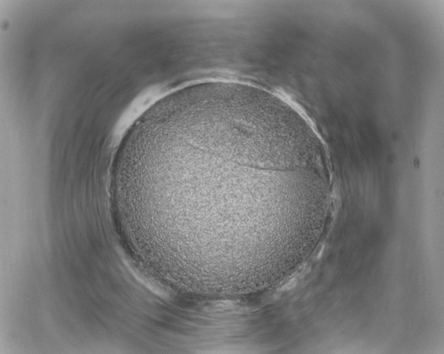 X0000066530151200603241410