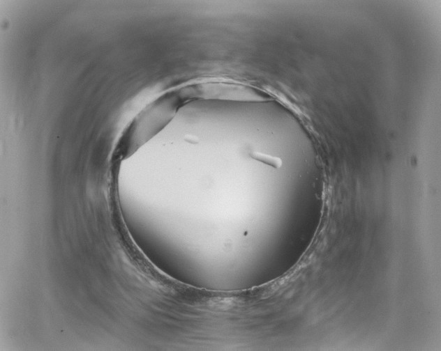 X0000066530152200603241410