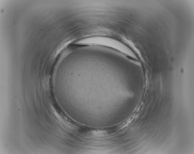 X0000066530154200603241410