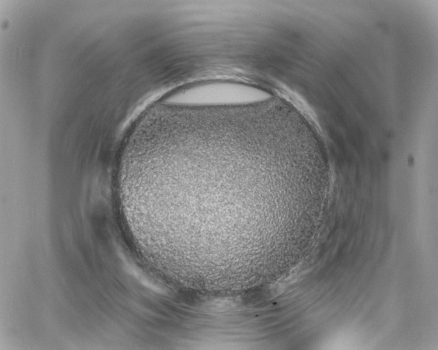 X0000066530155200603241410