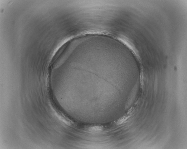 X0000066530156200603241410