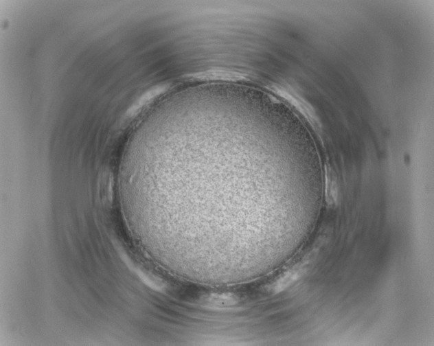 X0000066530157200603241410