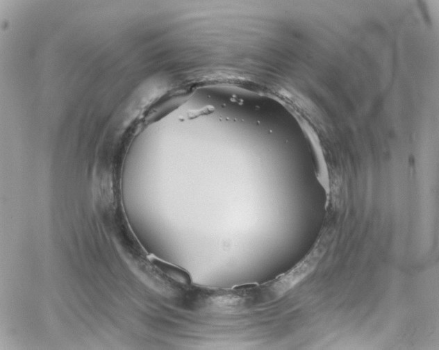 X0000066530158200603241410