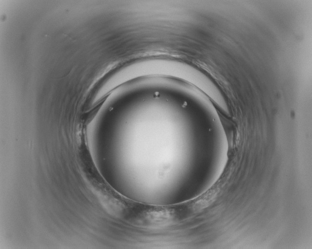 X0000066530160200603241410