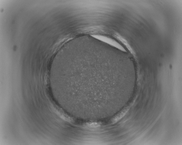 X0000066530161200603241410