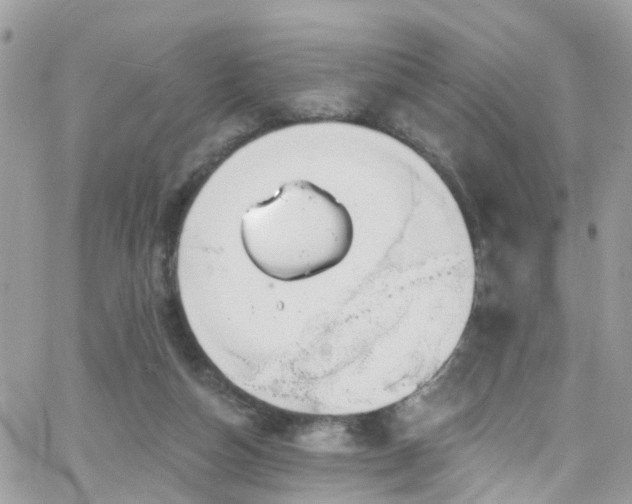 X0000066530162200603241410