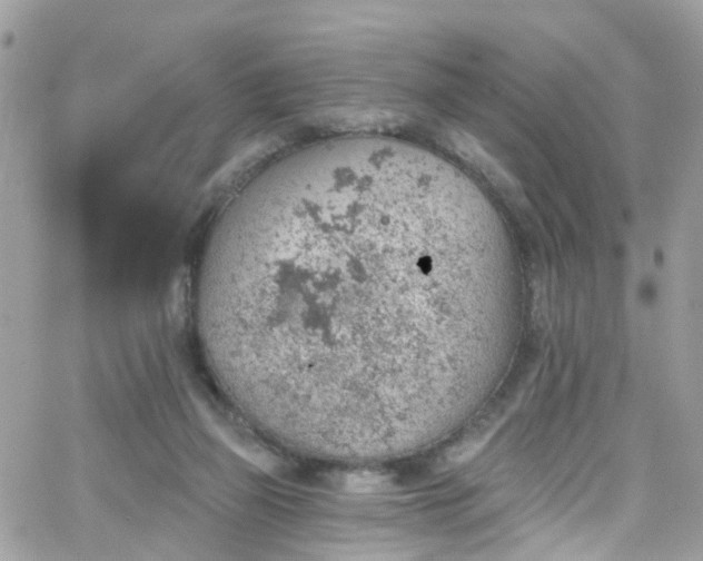 X0000066530165200603241410