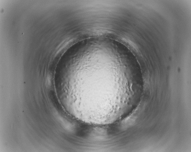 X0000066530166200603241410