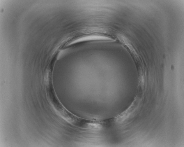 X0000066530167200603241410