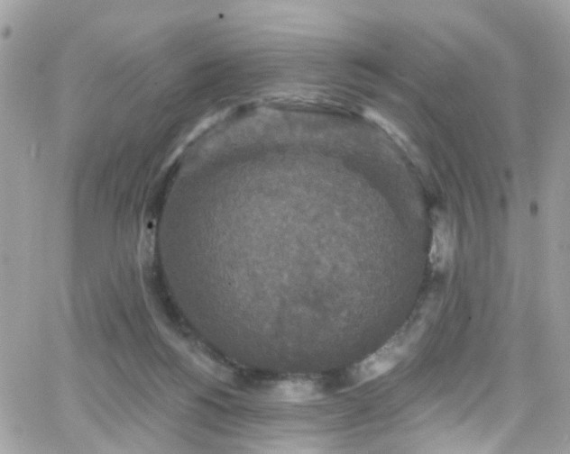 X0000066530168200603241410