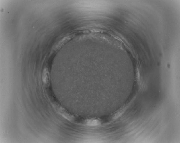 X0000066530169200603241410