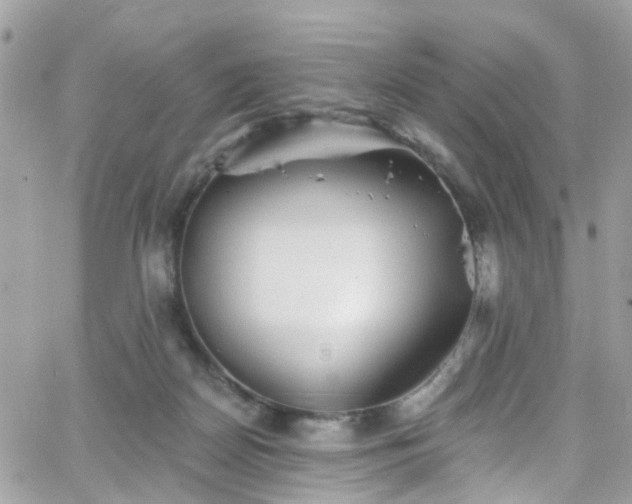 X0000066530170200603241410