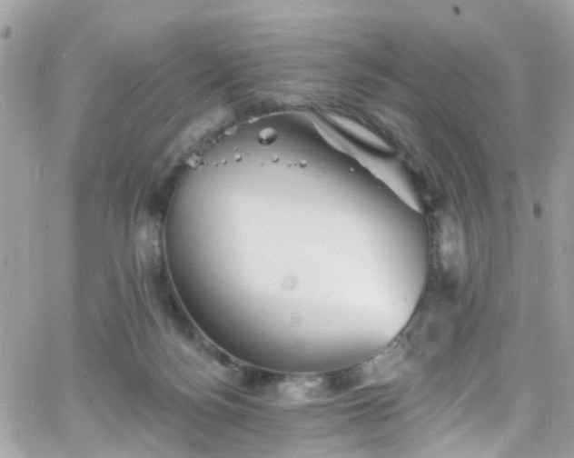 X0000066530172200603241411