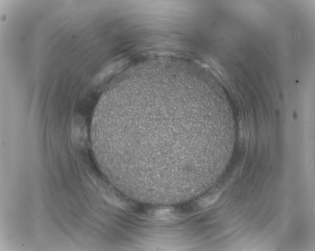 X0000066530173200603241411