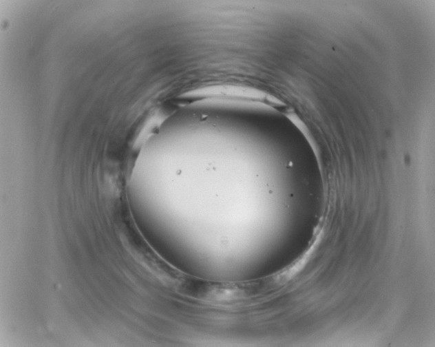 X0000066530174200603241411