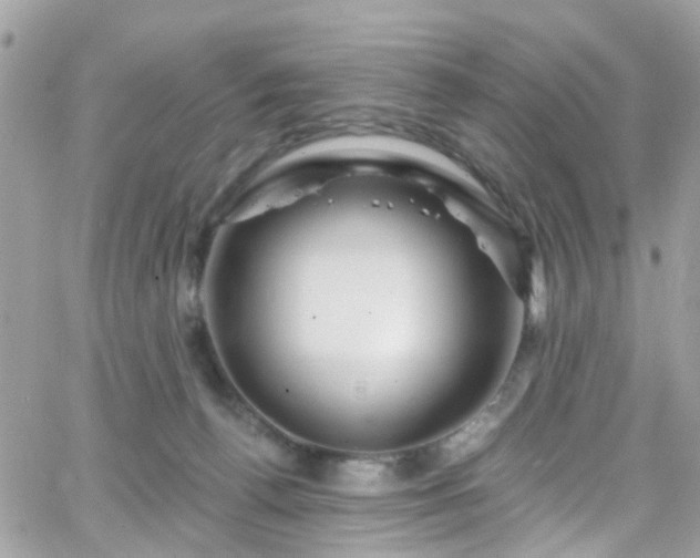 X0000066530176200603241411