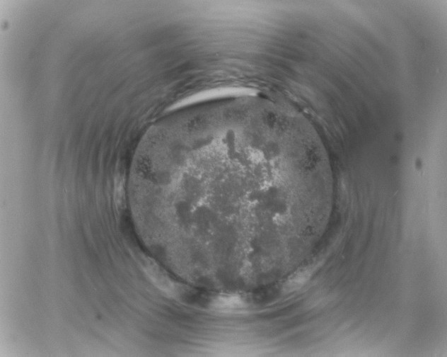 X0000066530177200603241411