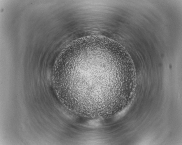 X0000066530178200603241411