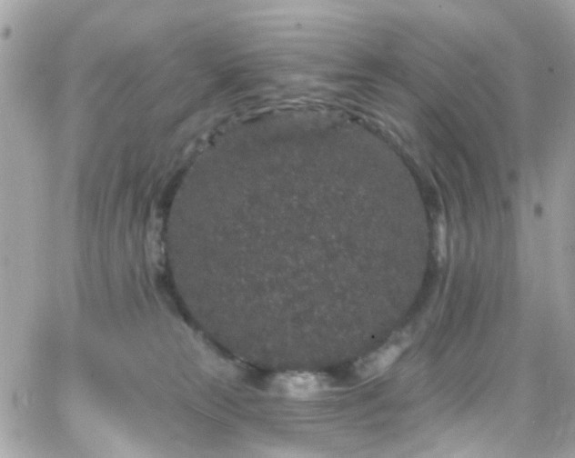 X0000066530181200603241411