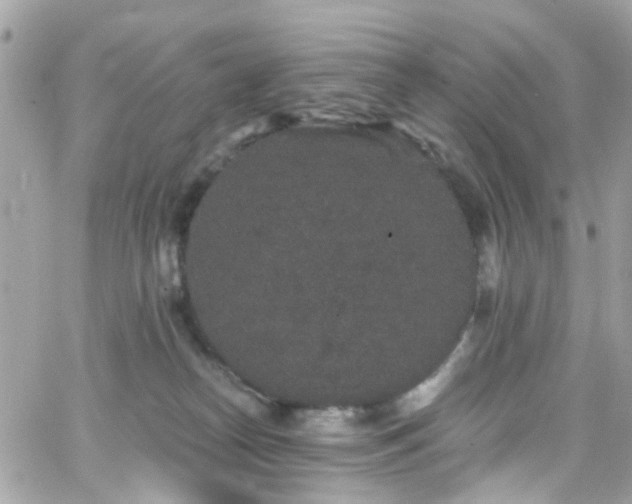 X0000066530182200603241411