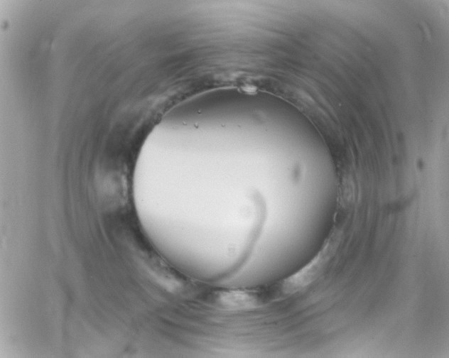 X0000066530183200603241411