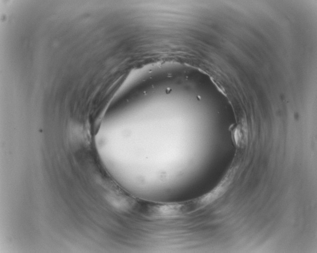 X0000066530184200603241411