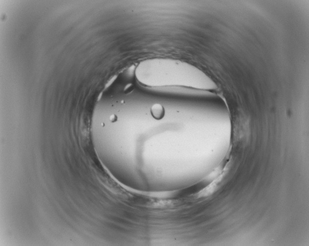 X0000066530186200603241411