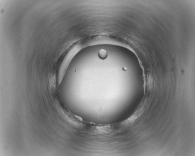 X0000066530188200603241411