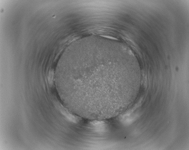 X0000066530189200603241411