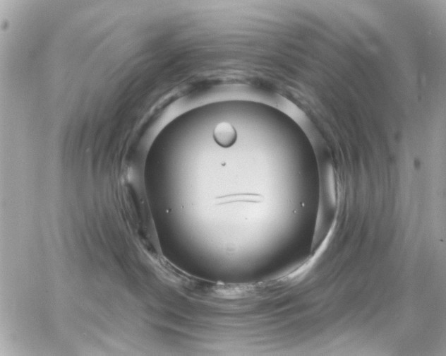 X0000066530190200603241411