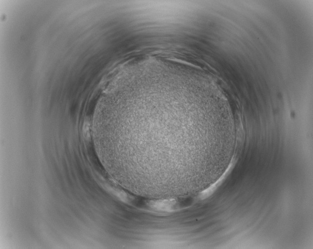 X0000066530191200603241411