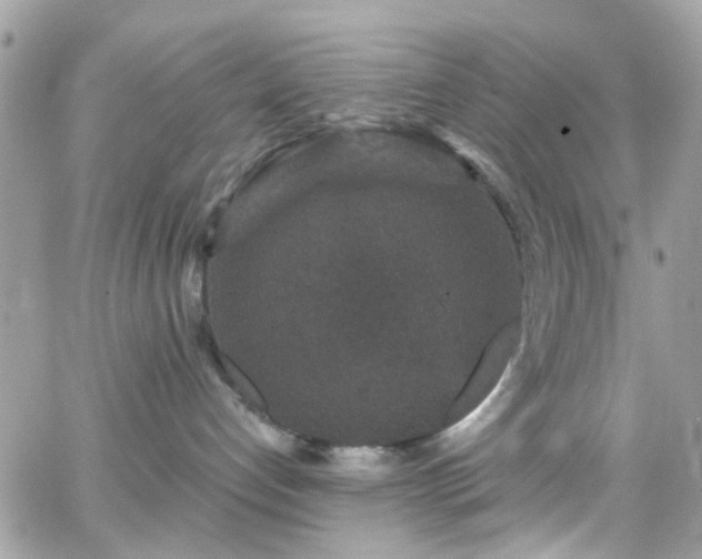 X0000066530192200603241411