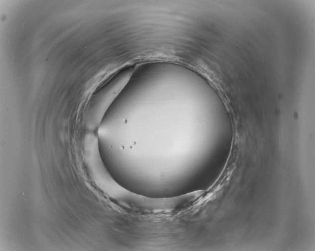 X0000066530193200603241410