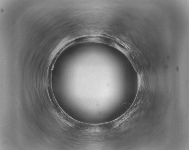 X0000066530195200603241410